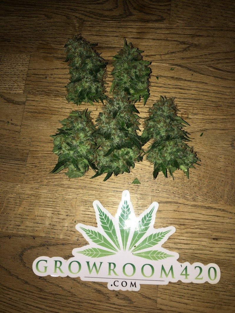 5D875F32-F290-4C97-8A3C-726065E31502