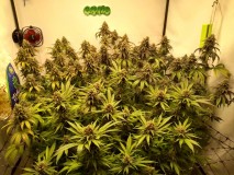 IMG_20200623_173708045_HDR