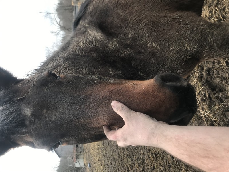 F8973532-63B3-47C6-B0F5-3654093AE31C