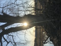 1086A8AA-FBCE-4A16-823A-48502C9D0A54