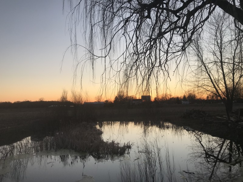 2E206E2B-1116-478E-AAE7-D09EE4F113C8