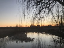 2E206E2B-1116-478E-AAE7-D09EE4F113C8