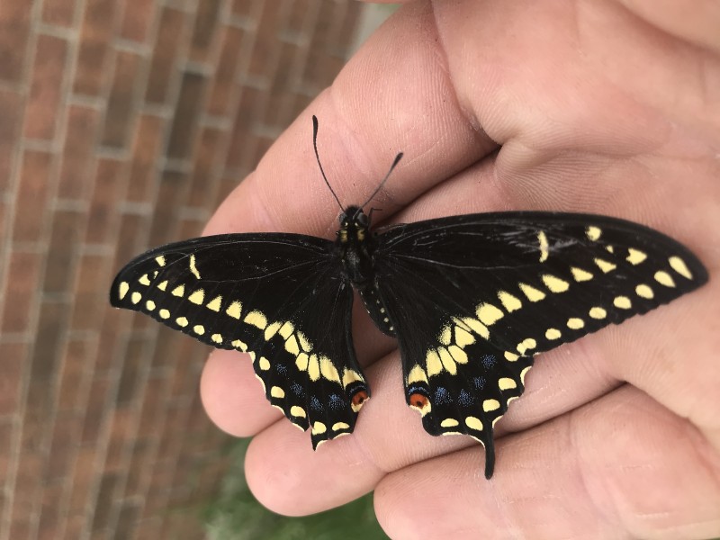 6C318EA4-E061-4A68-B2B7-9232A1BE48F5