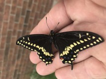 6C318EA4-E061-4A68-B2B7-9232A1BE48F5