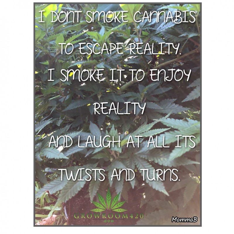 DC4E4B57-E0E9-4C4B-B7D5-E3F51A43FBB2