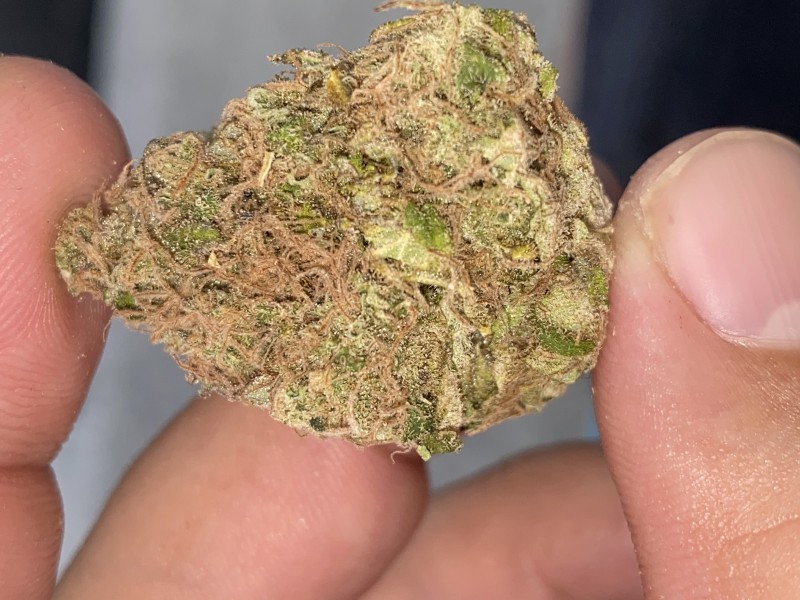 01BAA641-48CF-411E-B042-25C116A03E2C