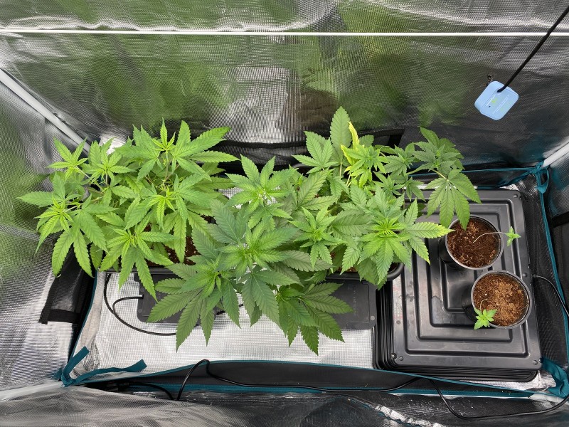 6800657B-C847-4F01-83D9-FDFB26610B22