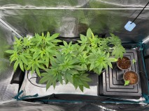 6800657B-C847-4F01-83D9-FDFB26610B22