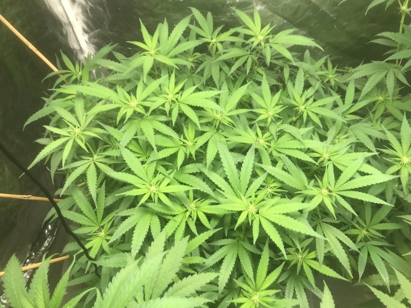 181C13FC-A13D-4506-96BA-2A540F89DDB8