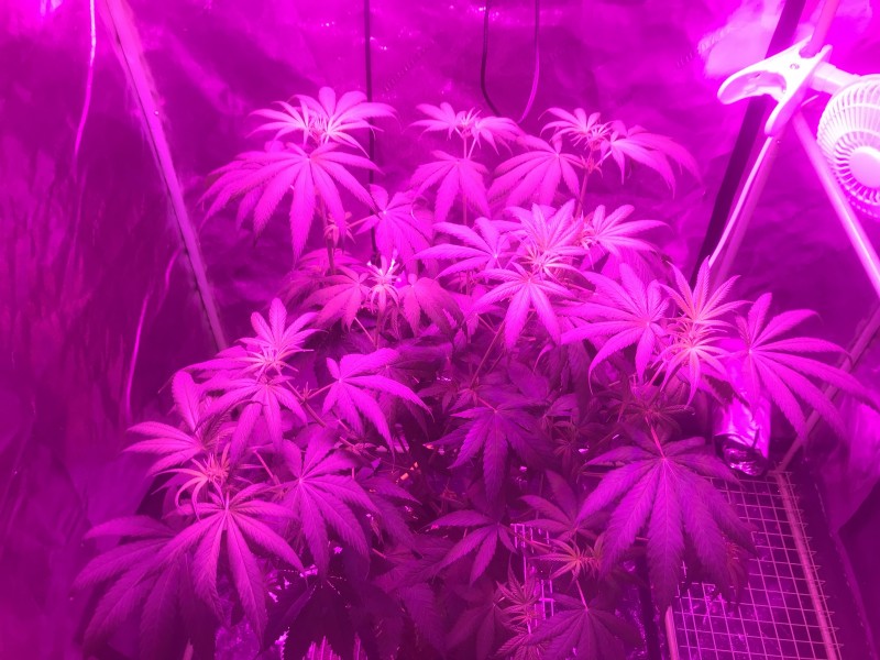 4CE3C1EF-11ED-4F73-A1DC-8EFB46E18CC1