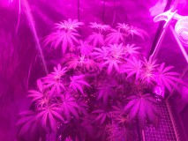 4CE3C1EF-11ED-4F73-A1DC-8EFB46E18CC1