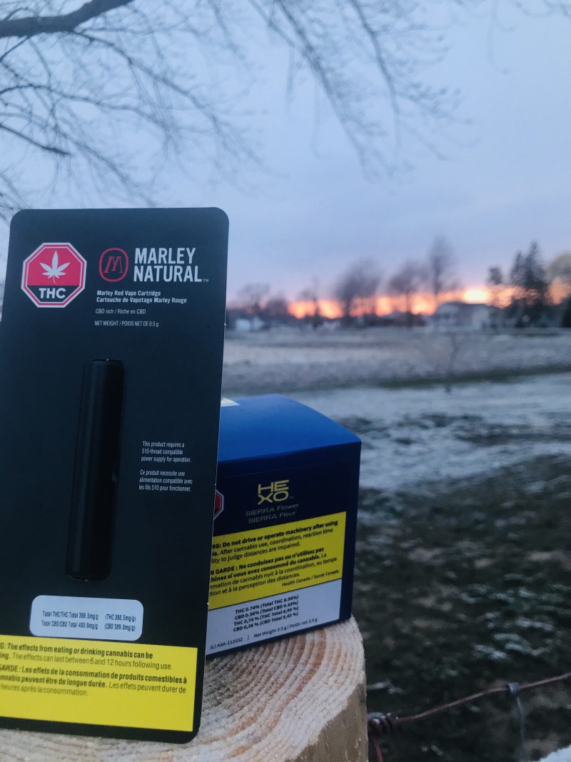 246A57E6-F853-40A4-9777-7EEFCF720A3B