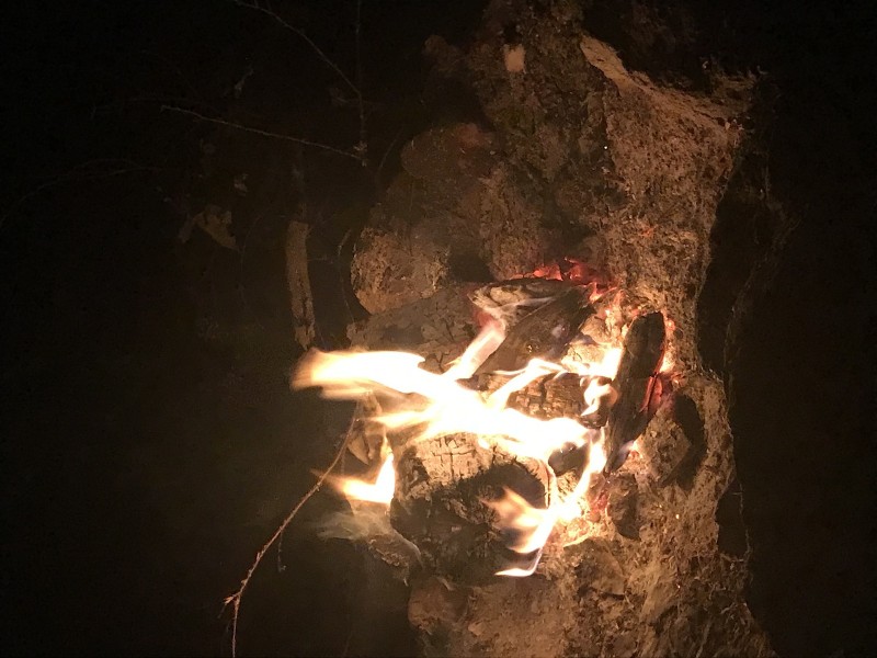 F9F08079-C103-4C2E-BC11-1A05EC4DBAEE