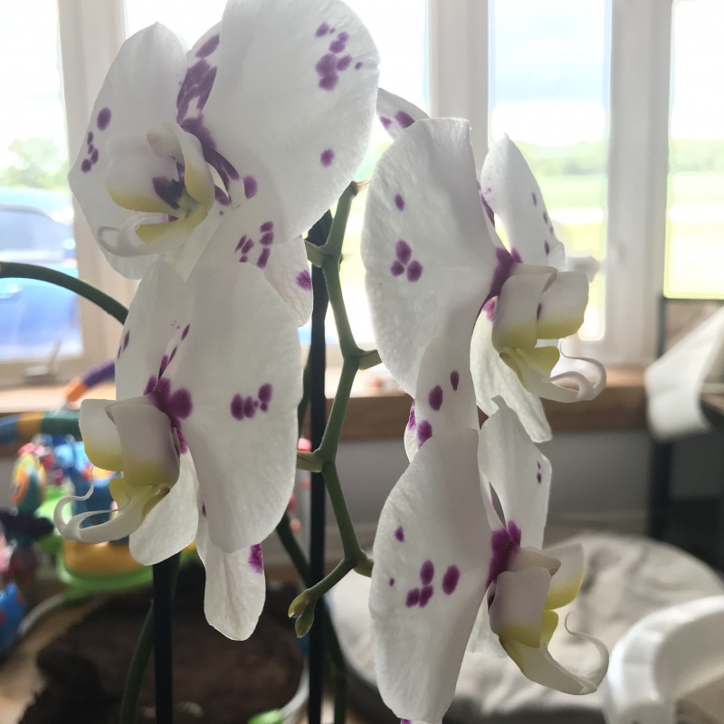 5E8EF350-D98F-496E-8A78-0B17F96AE6A5