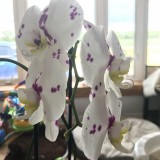 5E8EF350-D98F-496E-8A78-0B17F96AE6A5