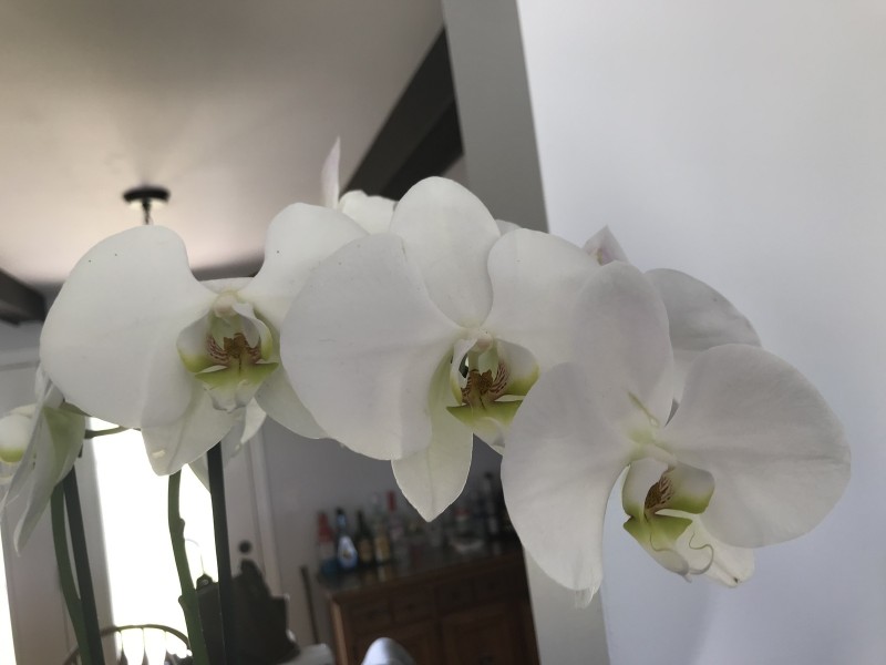 FE96D7F7-1799-435D-9D20-B916AEE3A39B