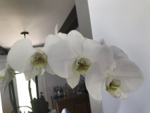 FE96D7F7-1799-435D-9D20-B916AEE3A39B