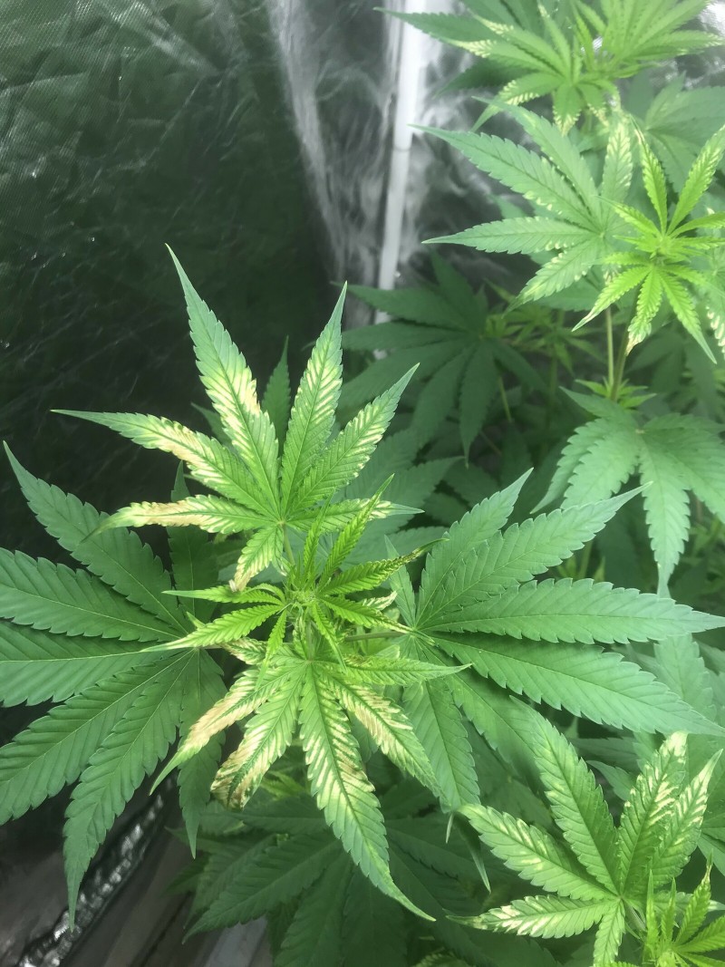 A9A3C0EC-DF77-42A5-81B9-96B247FFB184