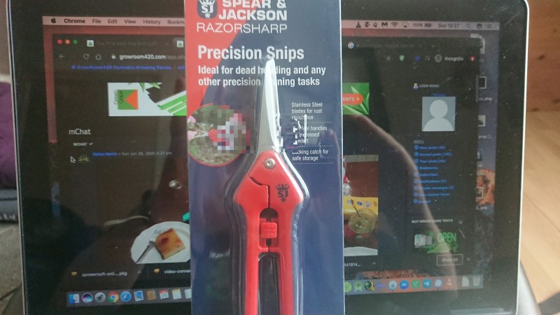 obscura1593354446852