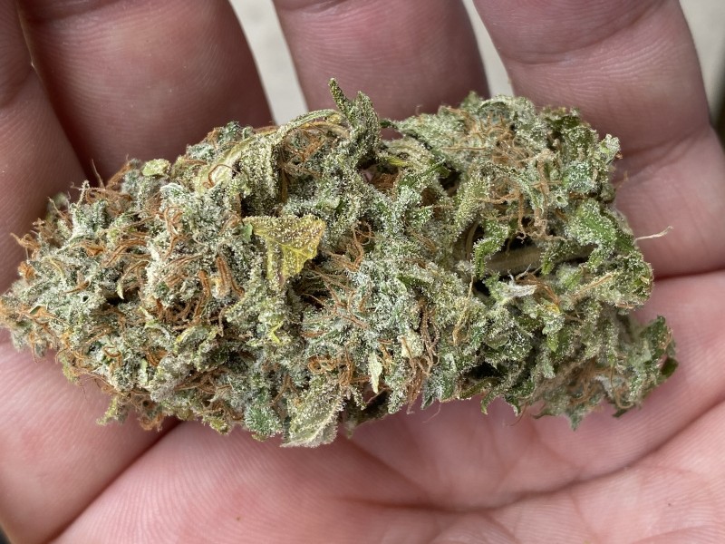 8249B574-01BF-4E2E-89EB-220CAE3E3F82