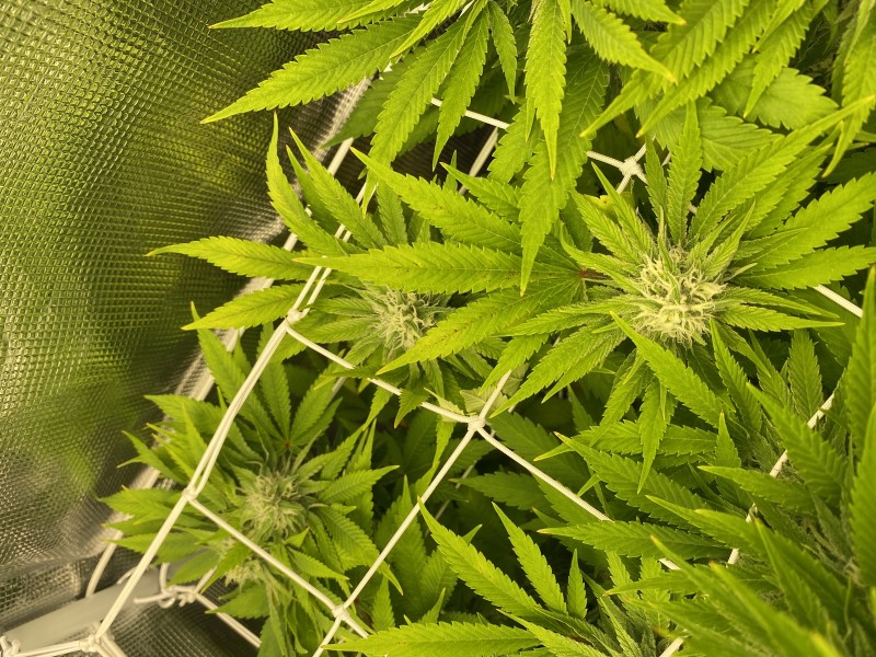 826E7A3D-FDFA-4CC4-A3E9-A14477AB3CF6