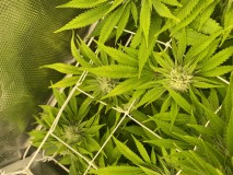 826E7A3D-FDFA-4CC4-A3E9-A14477AB3CF6