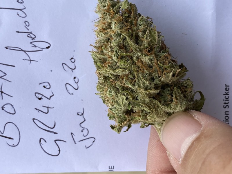 16B19809-0C2F-4ED0-9931-8E35432830D7