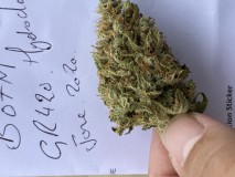 16B19809-0C2F-4ED0-9931-8E35432830D7