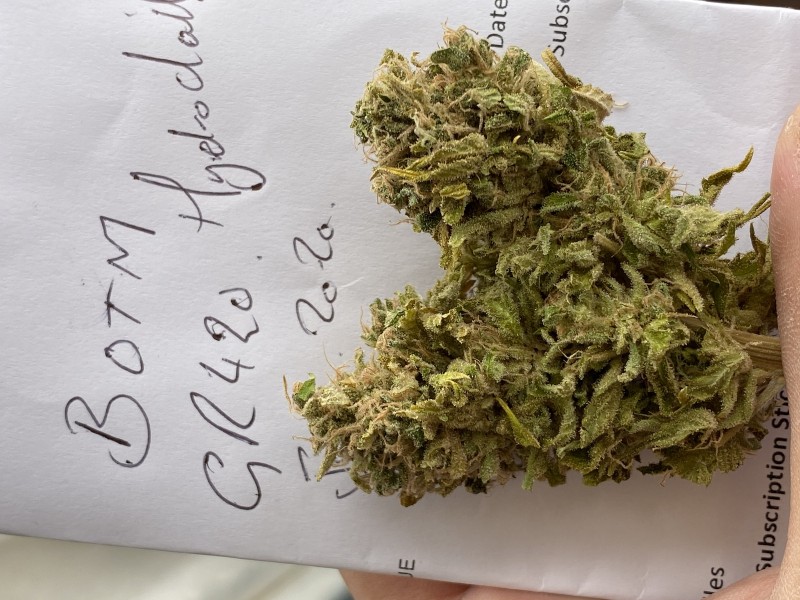 06D9159A-856D-48A0-B6FF-B9F675FBF2EC