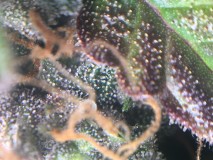 93194A6A-1F17-4363-AECA-3C6777BAE641