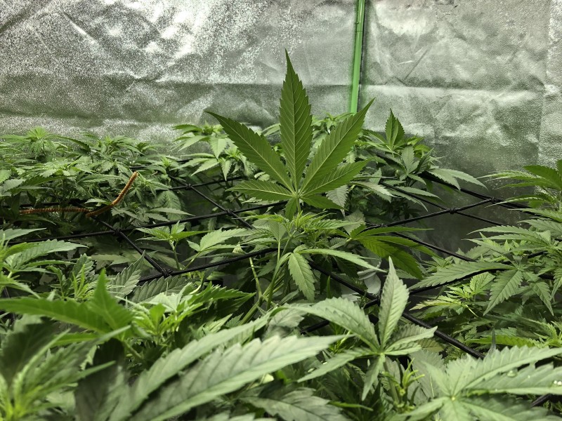 748922E0-69ED-44A4-981C-F4AD0ED9277F