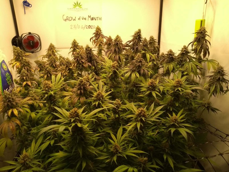 IMG_20200628_135820379