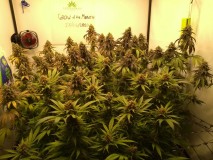 IMG_20200628_135820379