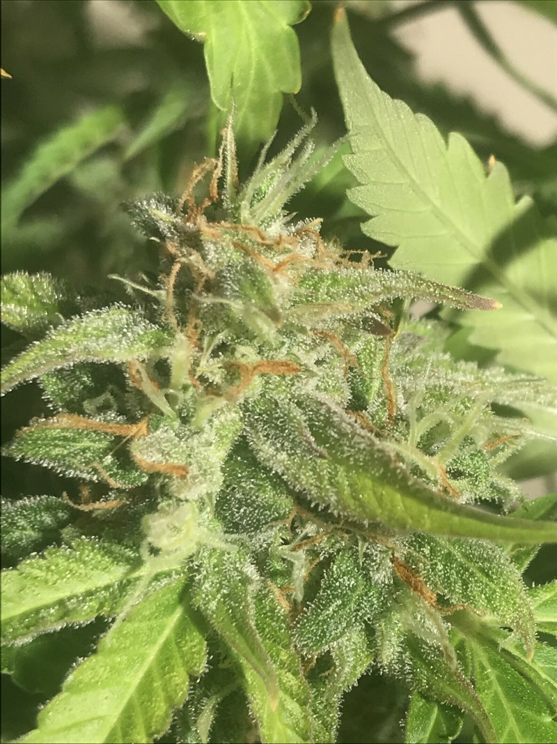 5A1EF10A-3052-49C7-A349-495C38A321AC