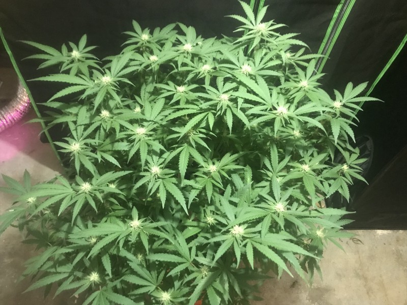 0239DEE0-A34A-42C3-AE1D-5B4C549B55C3