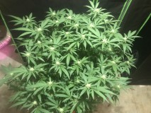 0239DEE0-A34A-42C3-AE1D-5B4C549B55C3