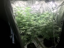 27A32144-3FB8-49BF-847A-74D8C886CC30