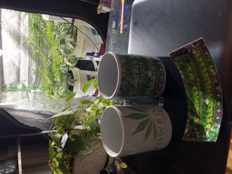 EE20B960-90FA-485F-B6B3-6F4C0522739A