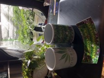 EE20B960-90FA-485F-B6B3-6F4C0522739A