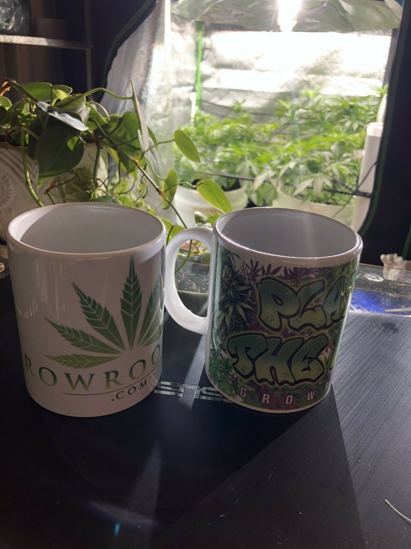 EFBDEA0D-01BE-44F8-9C41-DF45F82E4CAC