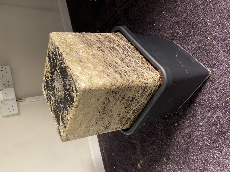 C22B30A1-4977-4748-BDE8-151BEEE16125