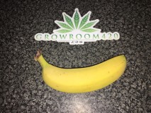 46A10C4F-4E1B-426B-9EB6-0816E3DB58CB