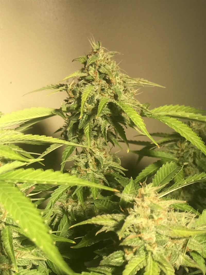 323848CE-0AA7-49D7-8742-4811AB8CCF6F