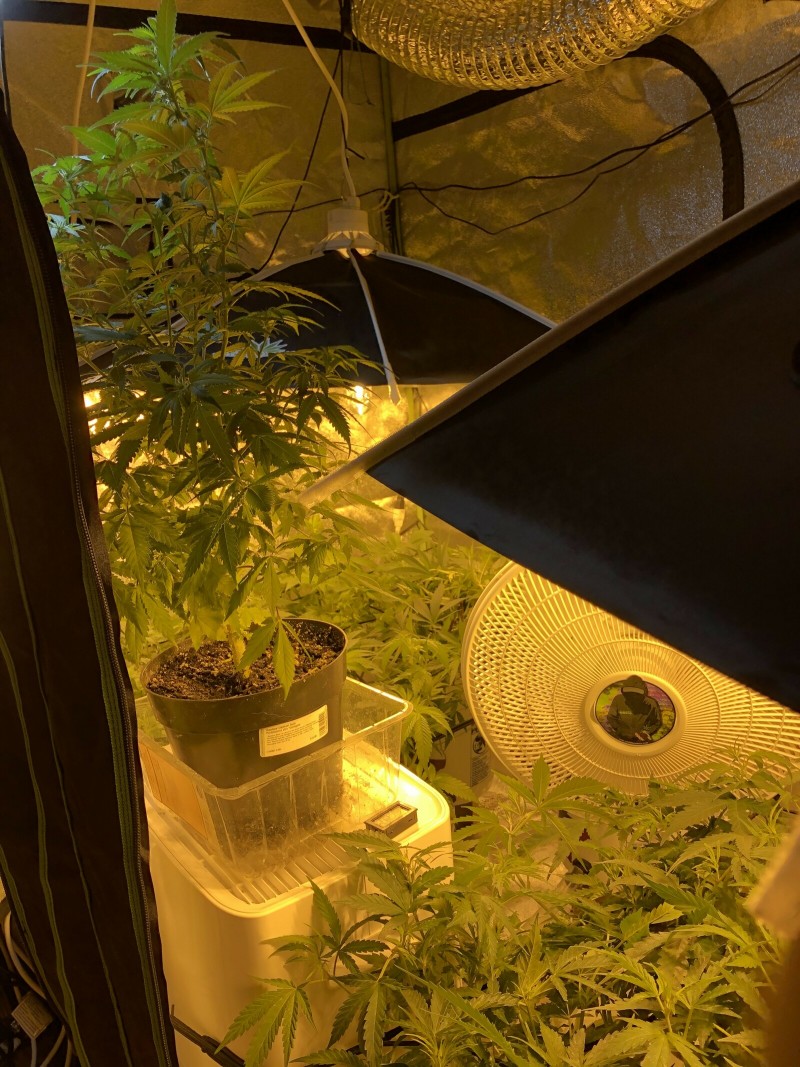 AFAEC81B-D653-4EEC-ACB8-D7E8AB40B5AE