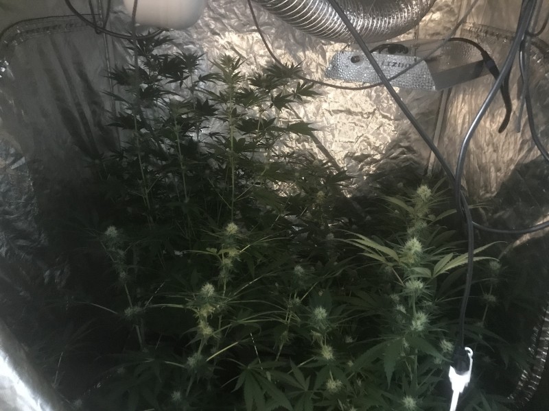 BA7B23CC-4F21-4743-892D-BE9B920E1E3B