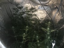 BA7B23CC-4F21-4743-892D-BE9B920E1E3B