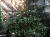 87732B4E-8E19-4B03-820F-876636096F3E