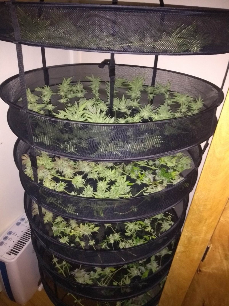 IMG_20200629_003012158