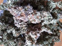 IMG_20200705_152412312