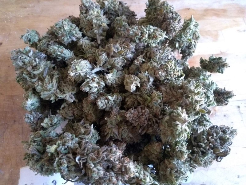 IMG_20200706_175003229